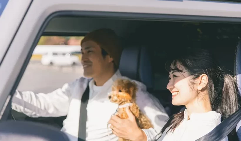 車内の様子